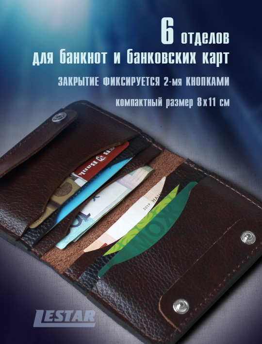 Кожаный картхолдер-книжка (card-115)