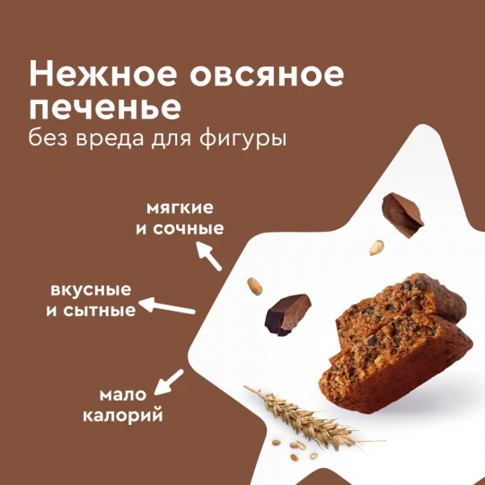 Печенье протеиновое без сахара ProteinRex Flapjack шоколадное, 12шт х 60 г