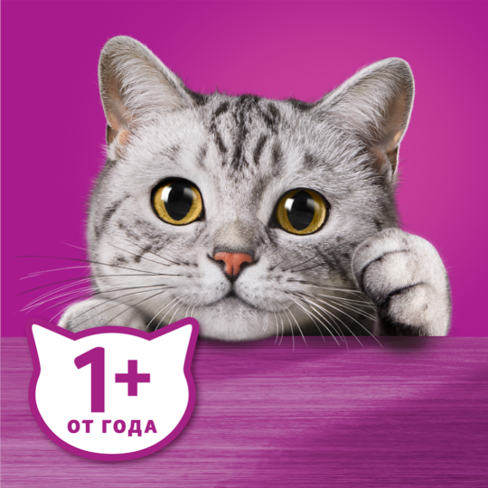 Уп. Корм для кошек «Whiskas» паштет, говядина и печень, 28х75 г