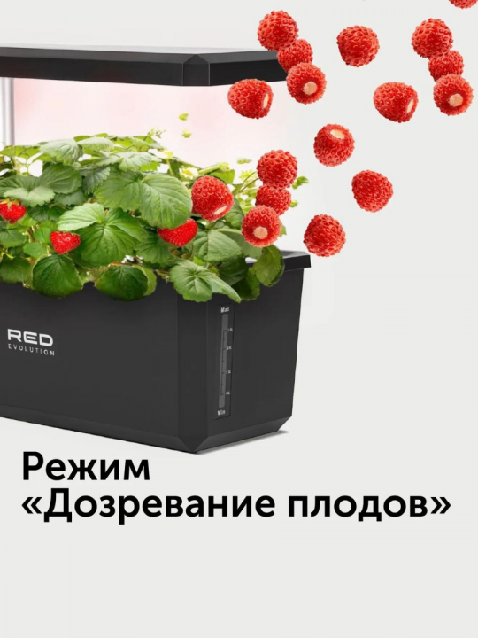 Умный сад, фитолампа для растений RED Evolution RSG-01