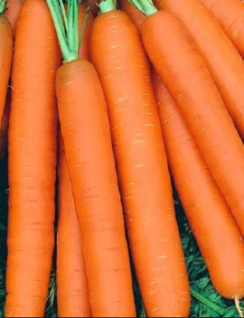 Семена Морковь дражированная "Нантская" 2 пакетика