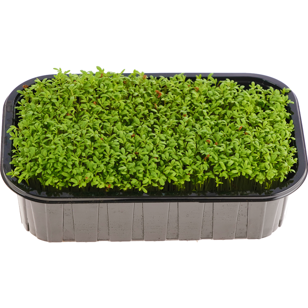 Микрозелень «Зеленый Фермер» Кресс-салат, 30 г #0