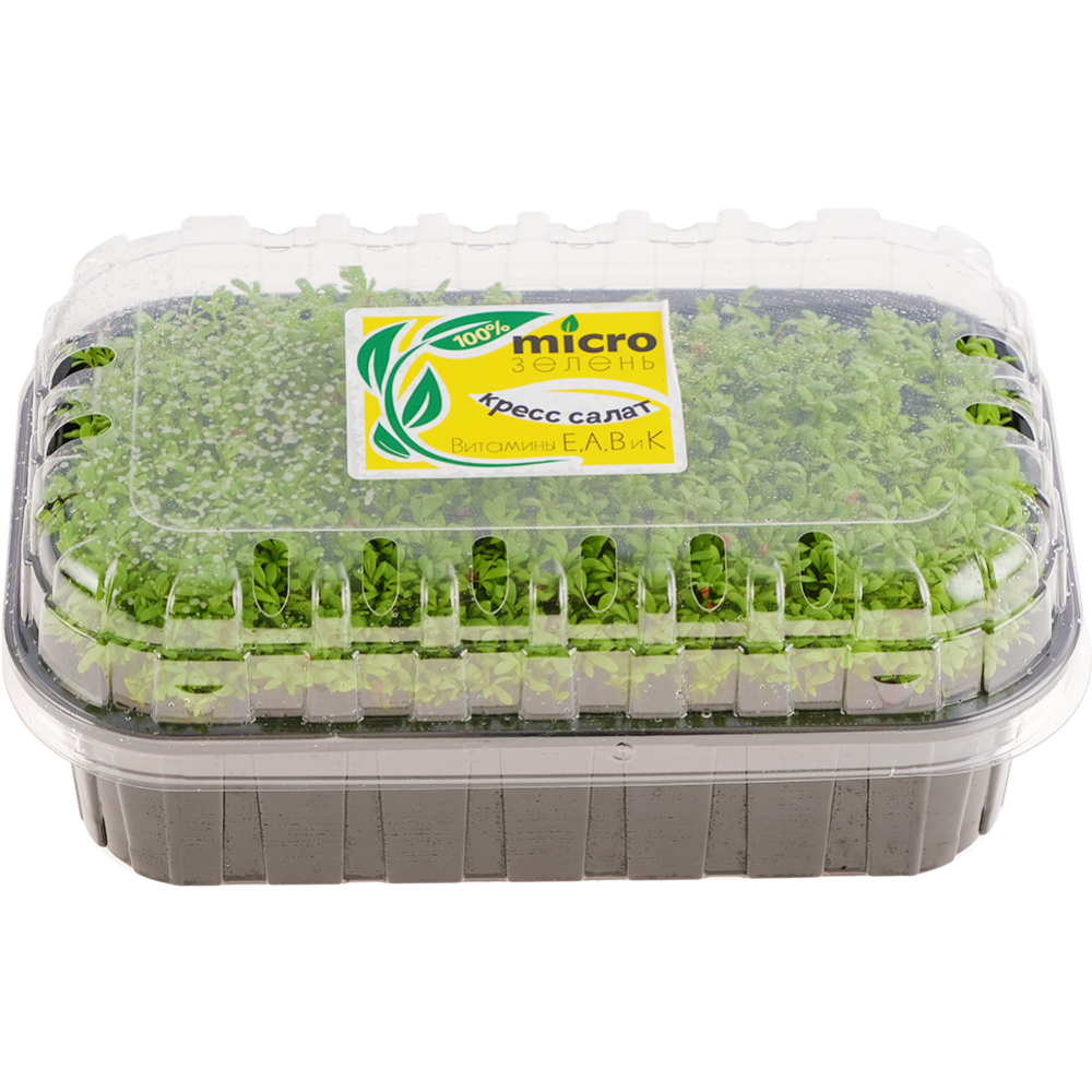Микрозелень «Зеленый Фермер» Кресс-салат, 30 г #1