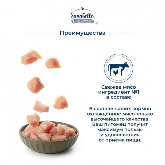 Корм для кошек сухой Sanabelle (Санабелль Эдалт с Форелью) 0.4кг