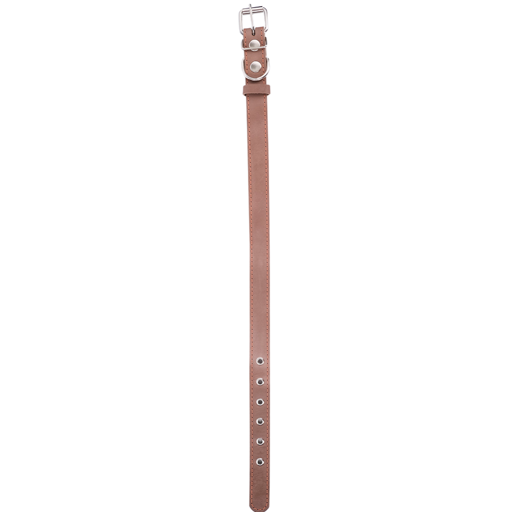 Ошейник «Хампо» кожаный, 2.5х43-55 см, бежевый