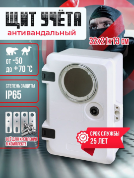 Щит учета антивандальный, ЩУ-0-1, GRP, IP65, IK09 ,-50 С до +70 С, навесной, (320х210х130) TDM SQ0926-0101