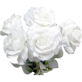 Ис­кус­ствен­ный цветок «Faktor» Роза рас­пу­щен­ная, № 503, AJ94521, за­сне­жен­ная, 75 см