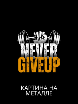 Картина на металле "Never Give Up", Imprint Picture, 30*40*0,05см