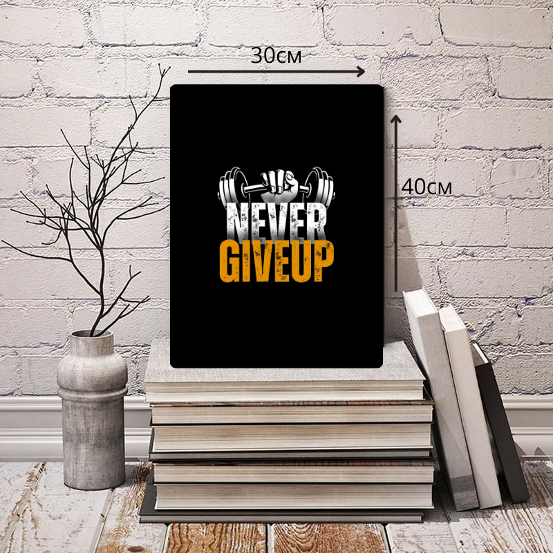 Картина на металле "Never Give Up", Imprint Picture, 30*40*0,05см