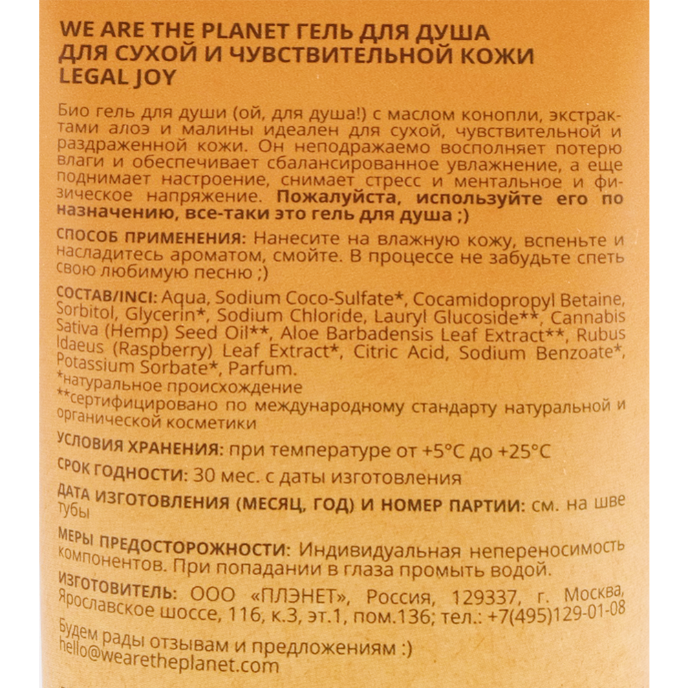 Что такое душа? Размышляют психологи и раввин