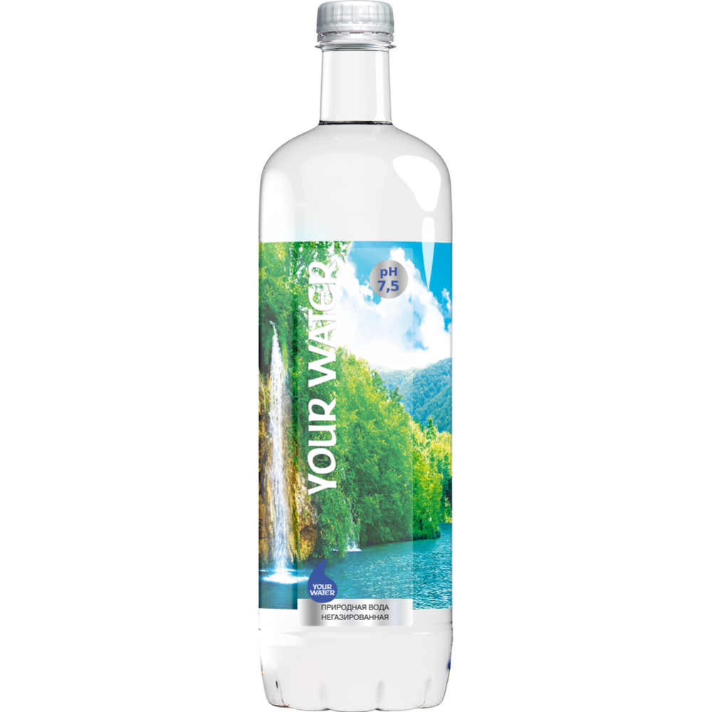 Вода питьевая негазированная «Darida» Your Water, 1 л #0