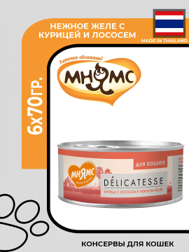 Мнямс Delicatesse Влажный дополнительный корм для кошек и котов, с курицей и лососем в нежном желе, 6х70гр.