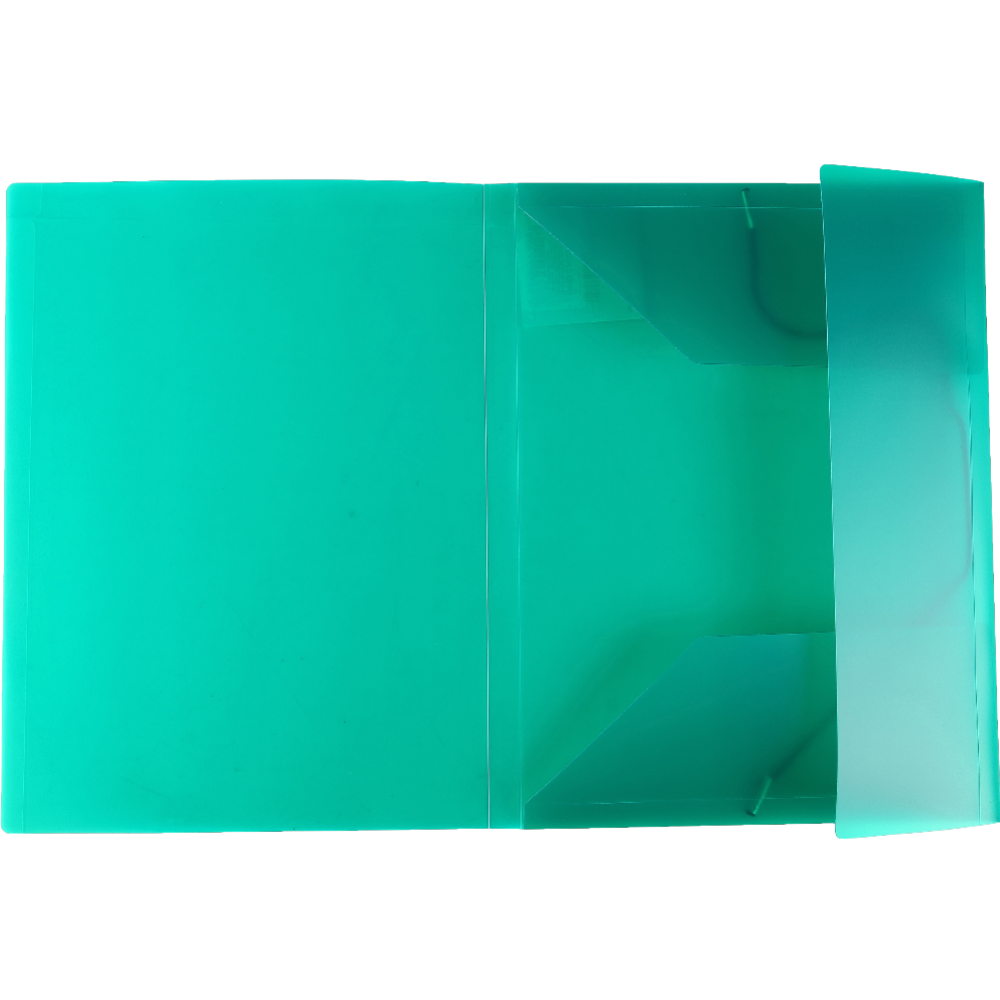 Папка с резинкой «Регистр» Е-415, зеленый