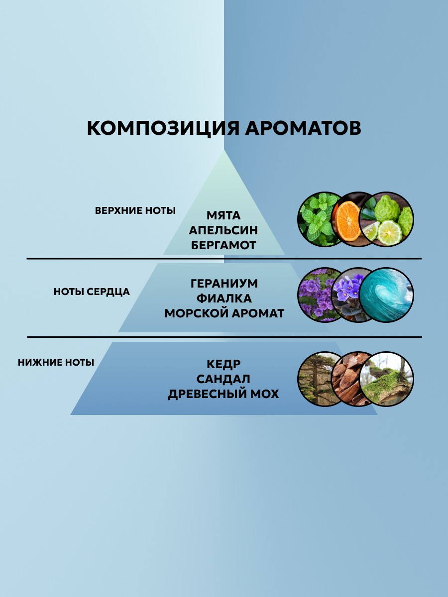 АромаДиффузор Areon для дома с палочками SPA 50 мл