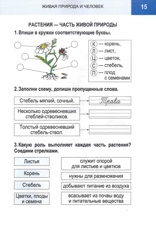 Человек и мир. 2 класс. Рабочая тетрадь (2024) Барковская Н.Ф., "Кузьма" (с дневником наблюдения)