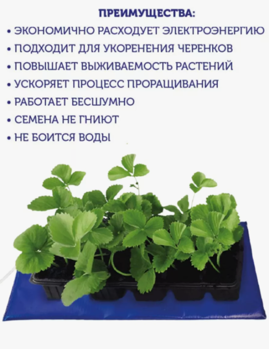 Электроподогреватель "ТеплоМакс" для проращивания семян рассады 50х25 см