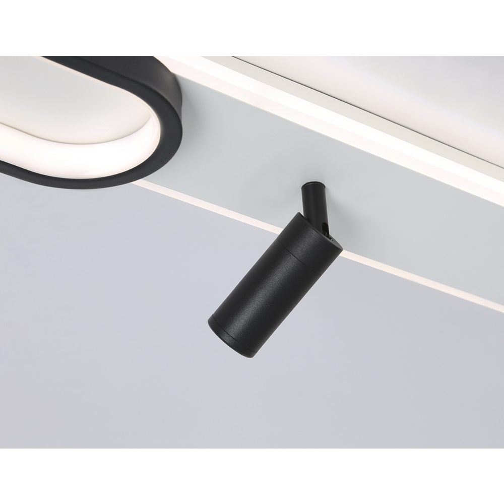 Настенно-потолочный светильник «Ambrella light» FL5111/2+2 WH/BK, белый/черный