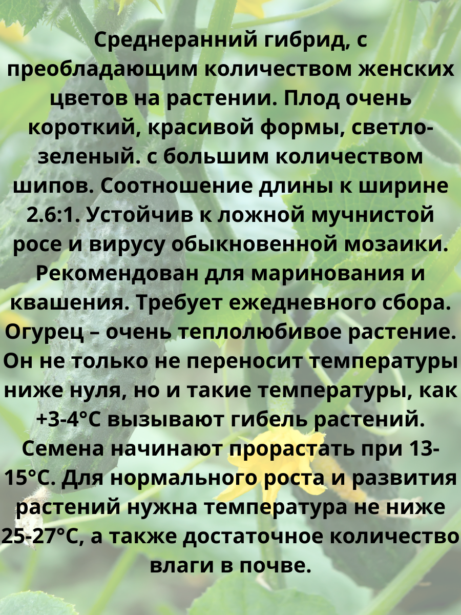 Набор семян огурец, томат и перец з пакетика