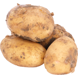 Кар­то­фель ранний, 1 кг