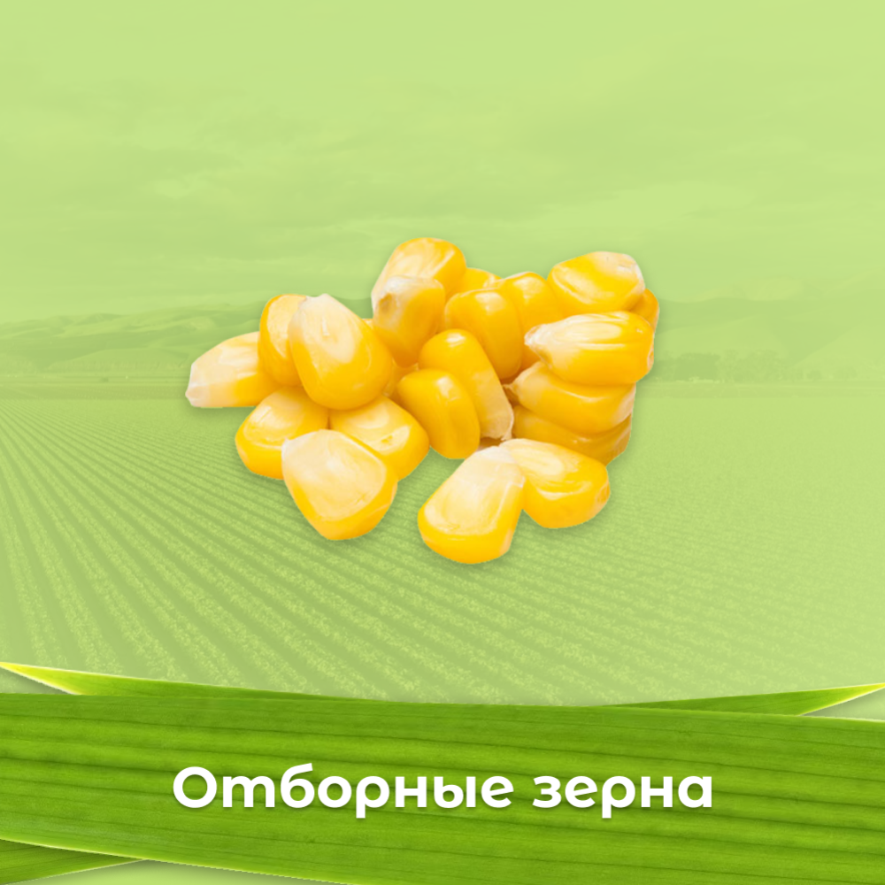 Кукуруза консервированная «Нежино» 340 г #2