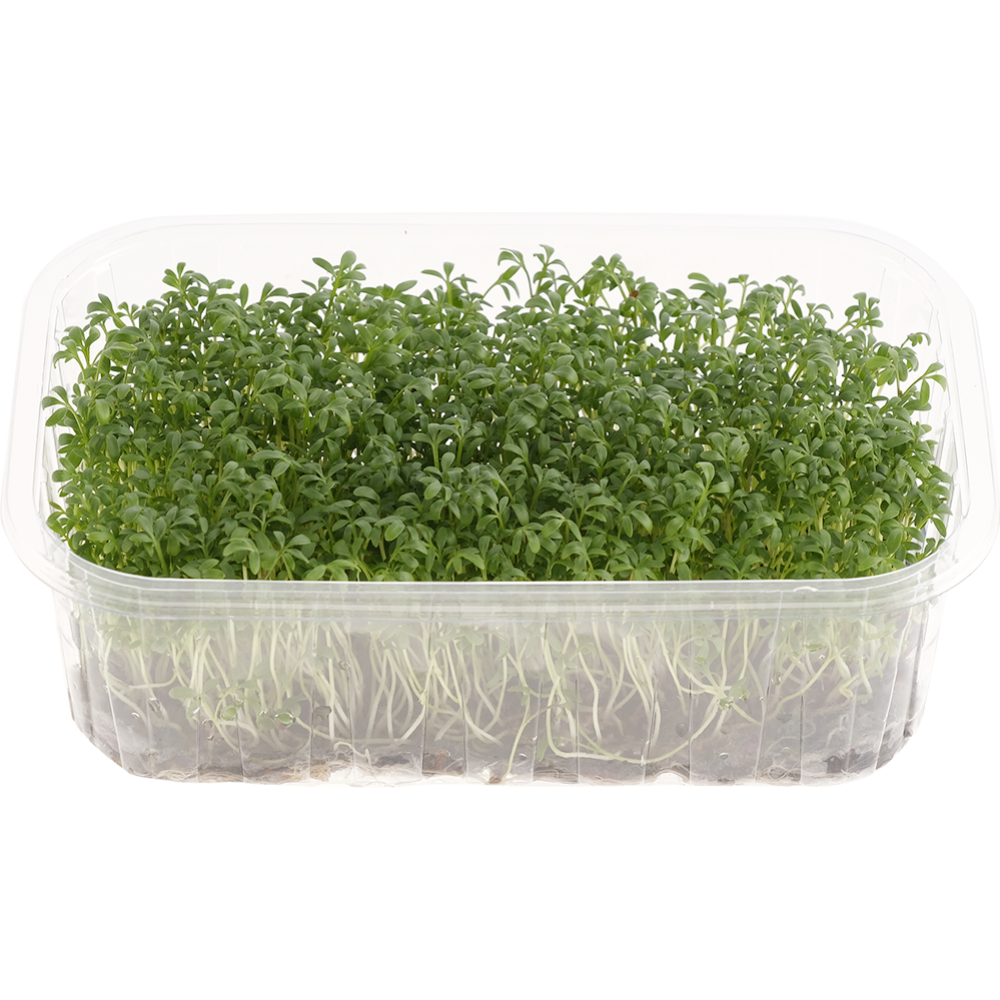Микрозелень «ГриоБел» кресс-салат, 20 г #1