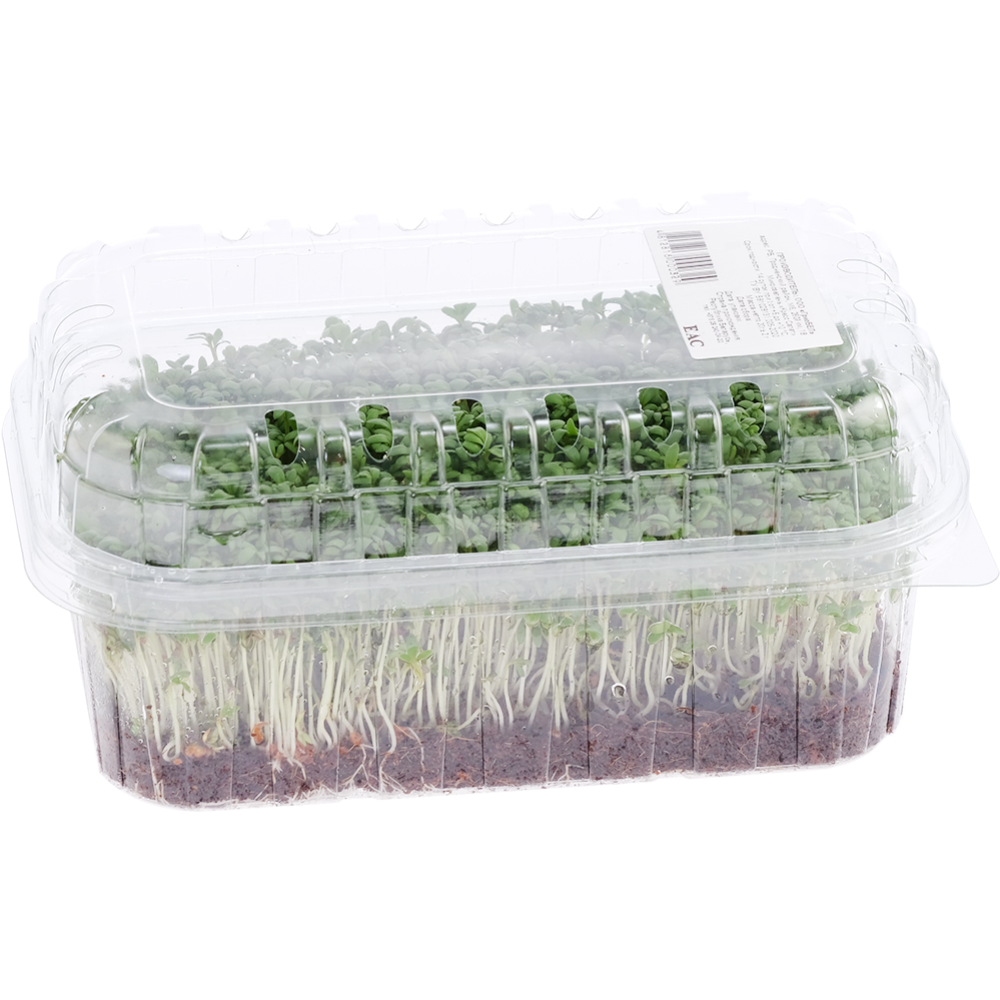 Микрозелень «ГриоБел» кресс-салат, 20 г #2