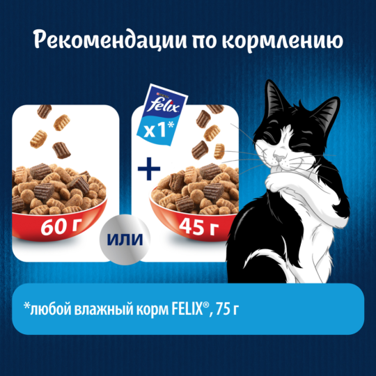 Корм для кошек «Felix» Двойная Вкуснятина, для взрослых кошек, с мясом, 10 кг