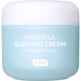 Крем для лица «Jaminkyung» Crema Caracol Waterful Sleeping Cream, увлажняющий, ночной, 60 мл