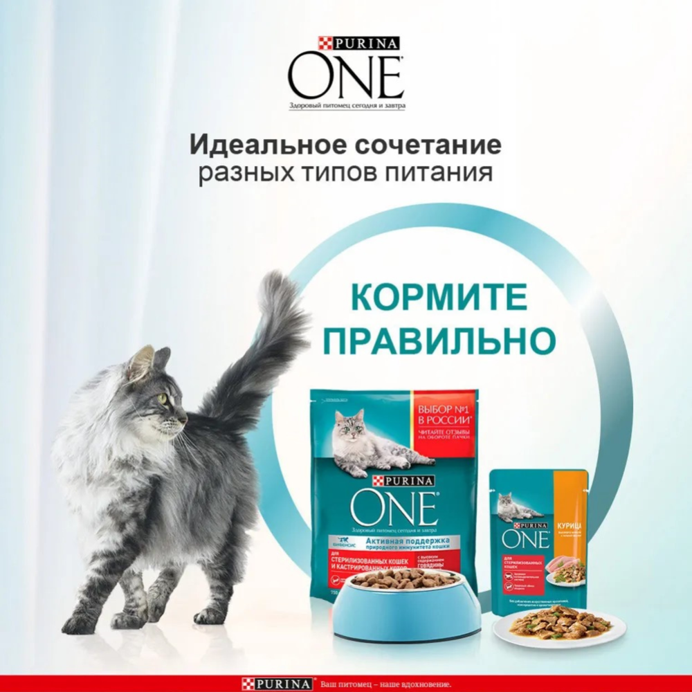 Корм для кошек «Purina One» для стерилизованных, с говядиной, 75 г #2