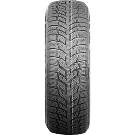 Зимняя шина «Autogreen» Snow Chaser 2 AW08, 235/35R19 91H