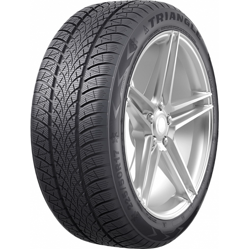 Картинка товара Зимняя шина «Triangle» WinterX TW401, 205/50R17 93V