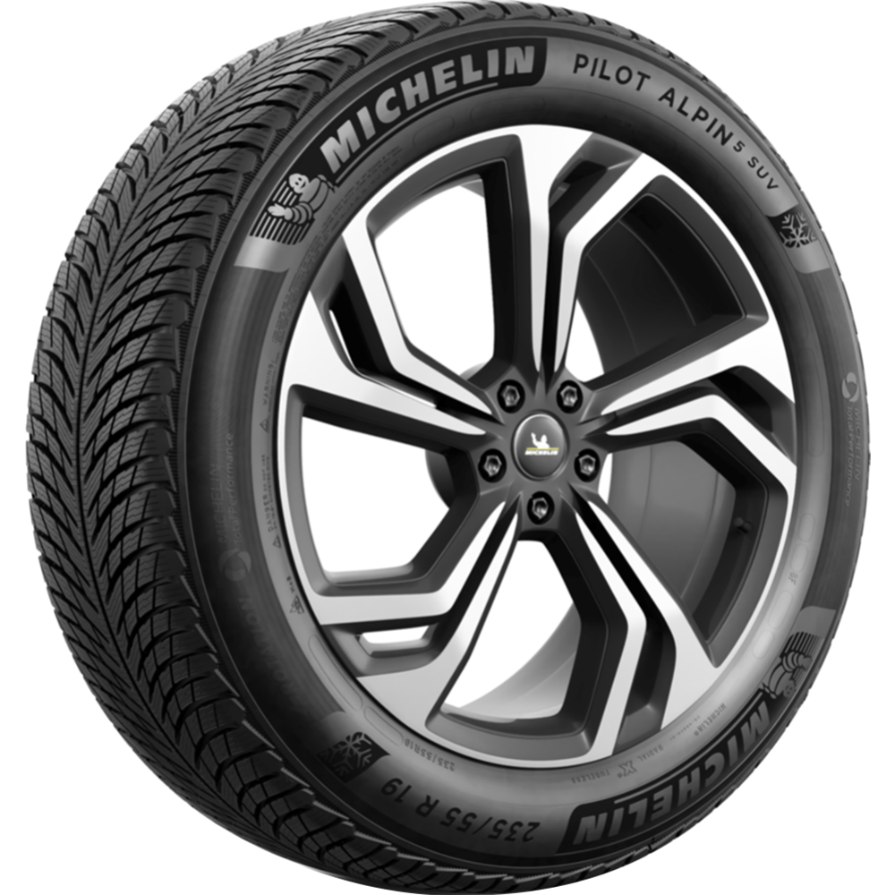 Картинка товара Зимняя шина «Michelin» Pilot Alpin 5 SUV 265/60R18 114H