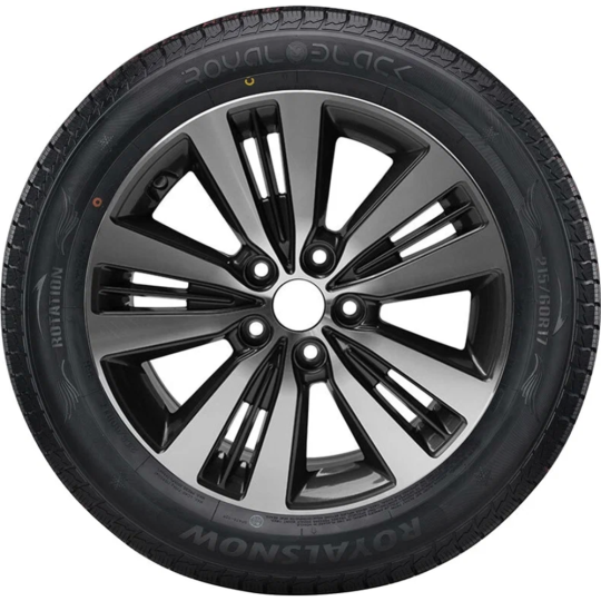 Зимняя шина «Royal Black» Royal Snow, 205/55R16 91H