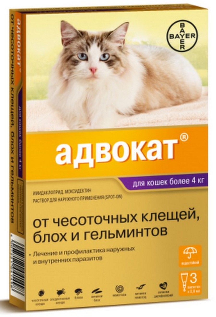 Капли на холку от блох, клещей и гельминтов Адвокат для кошек весом 4-8 кг, 3 пипетки