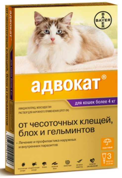 Капли на холку от блох, клещей и гельминтов Адвокат для кошек весом 4-8 кг, 1 пипетка