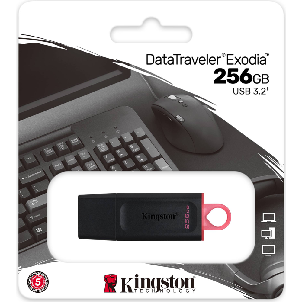 USB флеш «Kingston» DTX/256GB