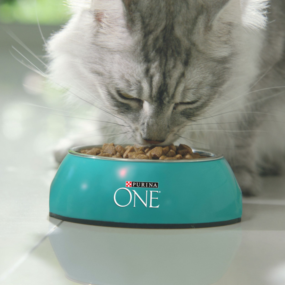 Корм для кошек «Purina One» с лососем и пшеницей, 1.5 кг #8