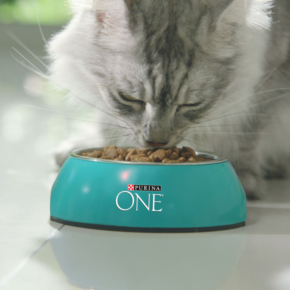 Корм для кошек «Purina One» с индейкой и цельными злаками, 1.5 кг #8