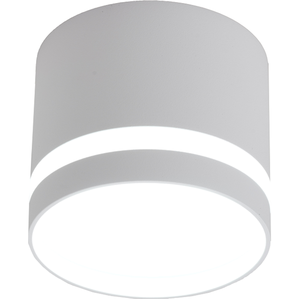 Точечный светильник «Truenergy» 21015