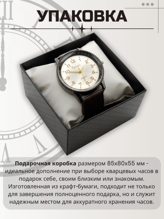 Часы наручные мужские Tenwei 8022-4