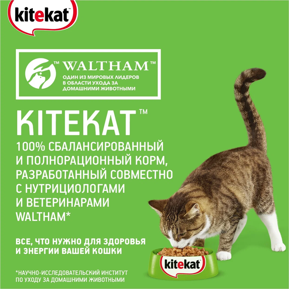 Корм для кошек «Kitekat» мясной пир, 15 кг #4