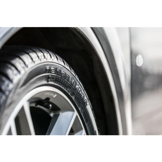 Зимняя шина «Nokian» Tyres WR SUV 4, 215/65R16, 98H