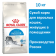 Сухой корм для кошек Royal canin Indoor 10кг, для кошек, живущих в помещении