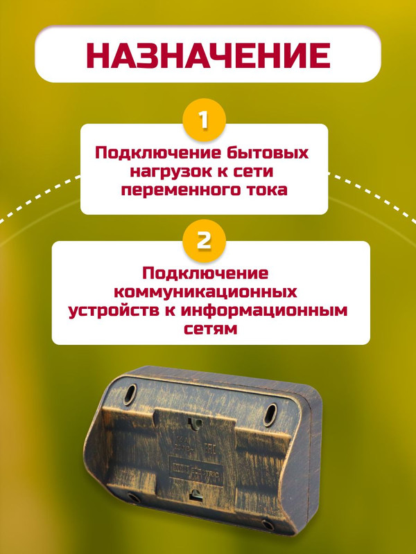 Розетка угловая двойная 2П+3 открытой установки с защитными шторками  IP20 250В 16А бронза "Ладога" TDM SQ1801-0290