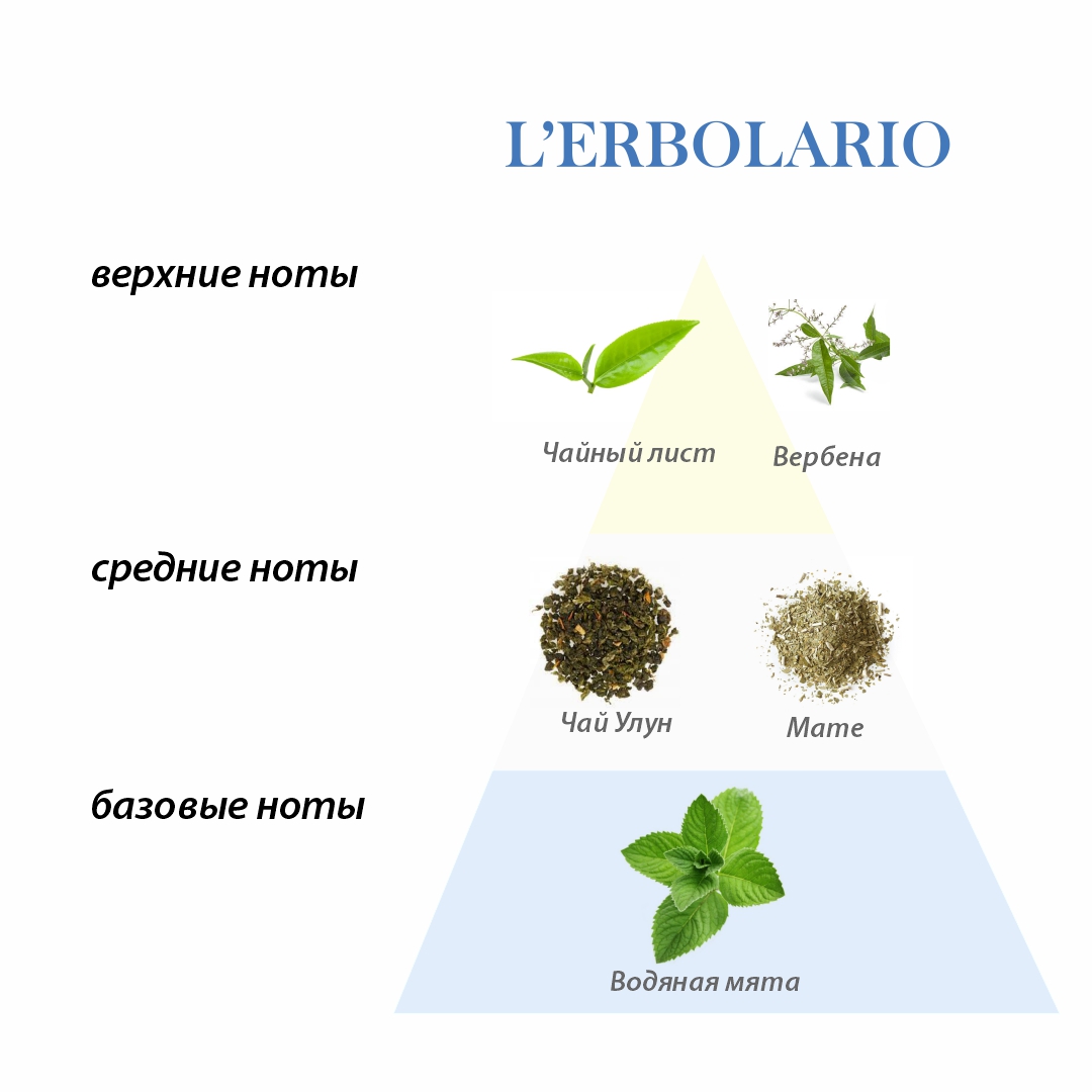 L'Erbolario ЧАЙНЫЕ ЛИСТЬЯ Парфюмерная вода 50 мл