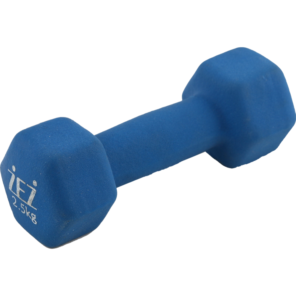 Гантель «ZEZ Sport» виниловая, 2,5kg-N, 2.5 кг