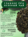 Молочный улун - чай зеленый листовой, 500г. Первая Чайная Компания