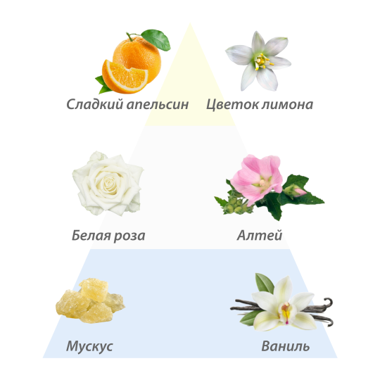 L'Erbolario МАЛЬВА Парфюмерная вода 50 мл