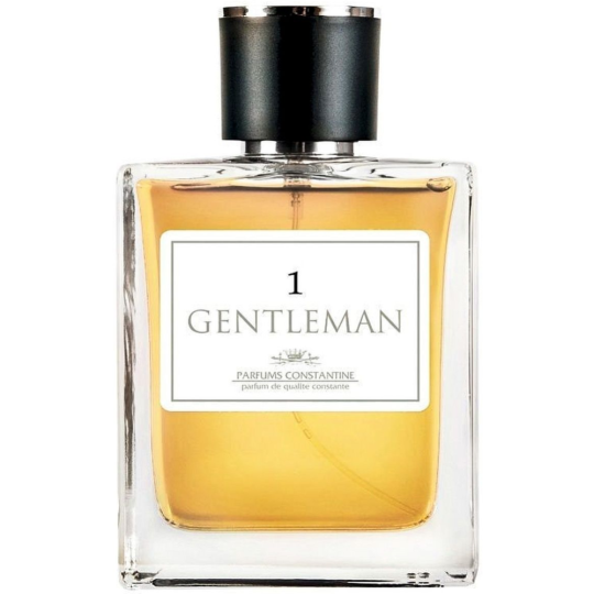 Туалетная вода мужская «Parfums Constantine» Gentleman 1, 100 мл