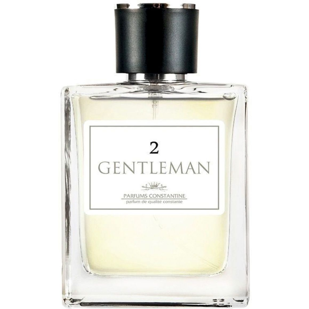 Туалетная вода мужская «Parfums Constantine» Gentleman 2, 100 мл